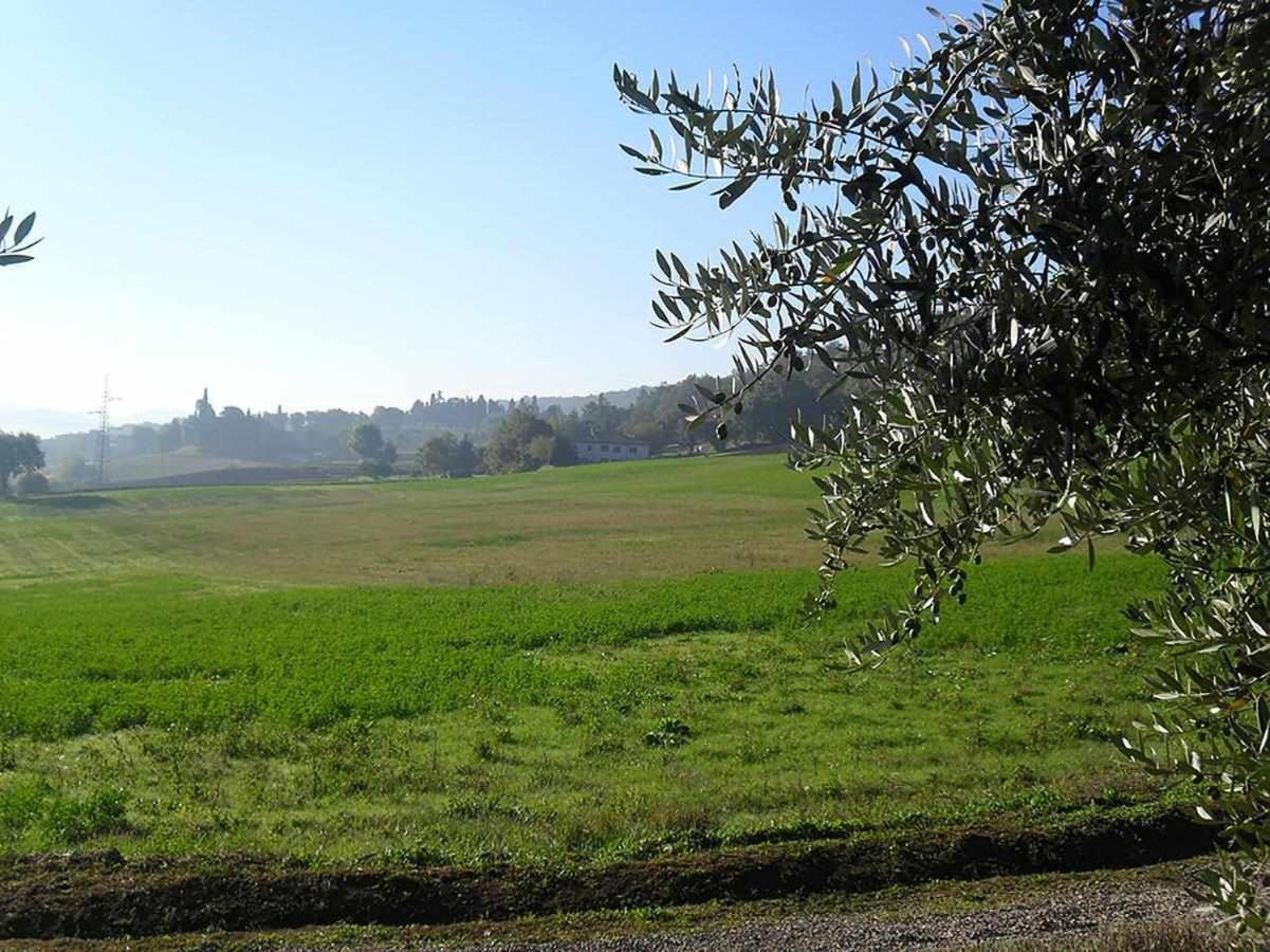 Appartamenti Con Cucina Nelle Colline Toscane Anghiari Εξωτερικό φωτογραφία